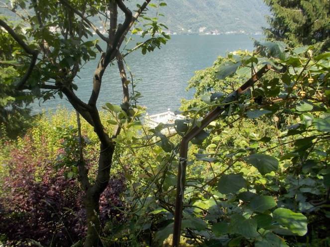 DSCN9968 (FILEminimizer)