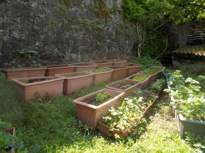 DSCN9972 (FILEminimizer)