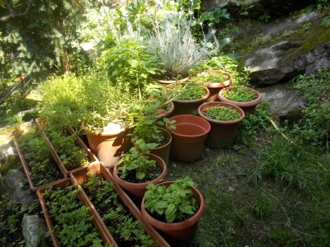 DSCN9974 (FILEminimizer)