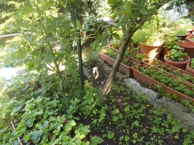 DSCN9975 (FILEminimizer)