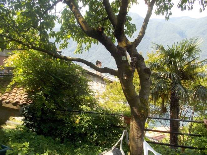 DSCN9979 (FILEminimizer)