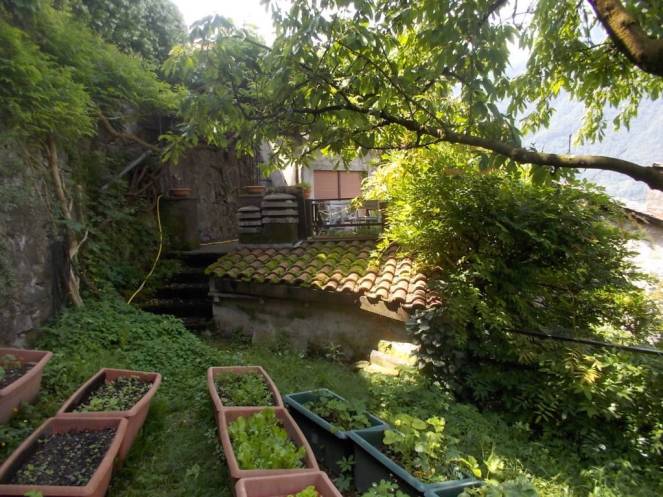 DSCN9980 (FILEminimizer)