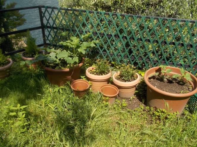 DSCN9981 (FILEminimizer)