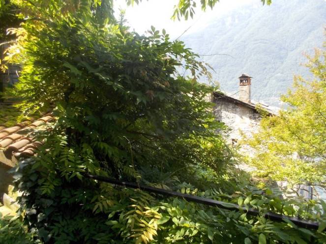 DSCN9983 (FILEminimizer)