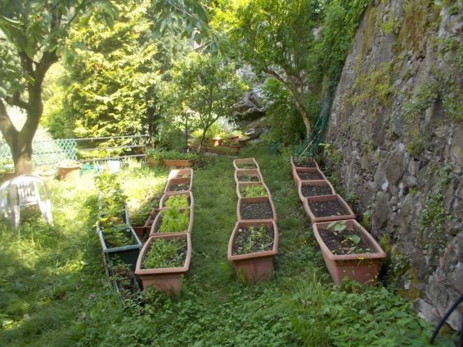 DSCN9986 (FILEminimizer)