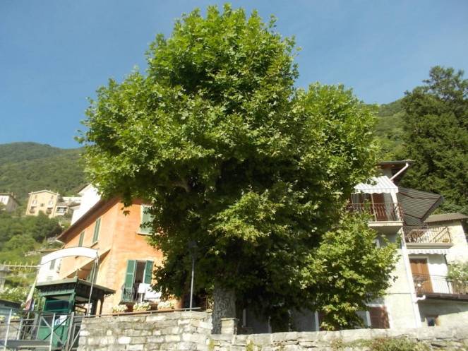 DSCN0347 (FILEminimizer)