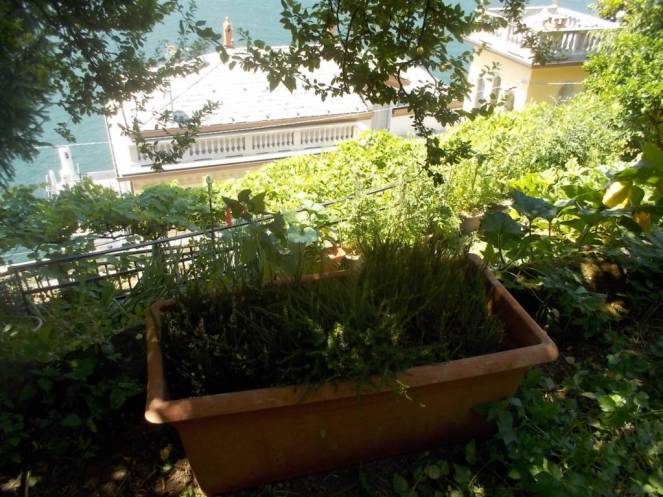 DSCN0458 (FILEminimizer)