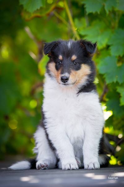 39775351_2121797854506631_4882204692479737856_n