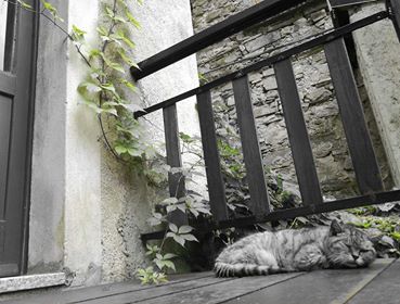 40178376_279358226229920_6470890503742160896_n