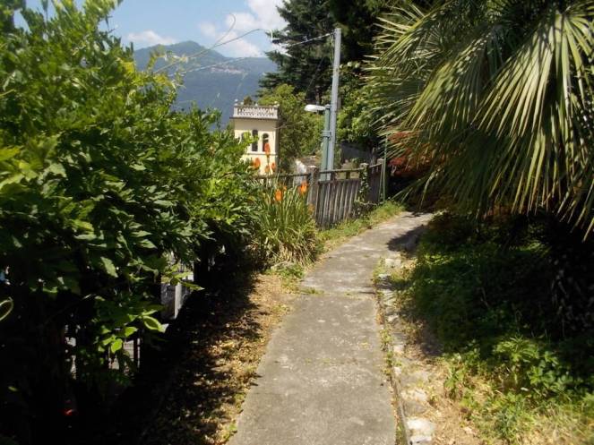 DSCN0440 (FILEminimizer)