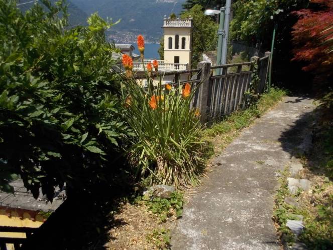 DSCN0441 (FILEminimizer)