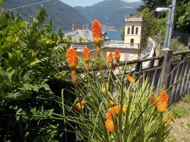 DSCN0442 (FILEminimizer)