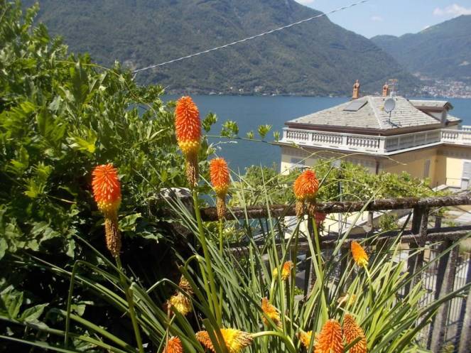 DSCN0443 (FILEminimizer)