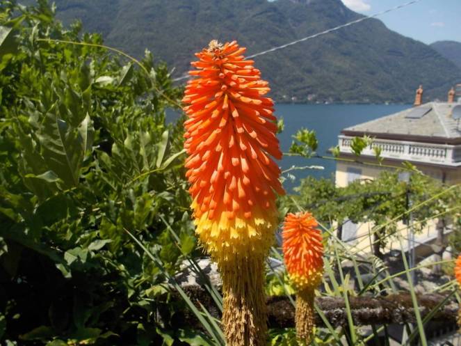 DSCN0445 (FILEminimizer)