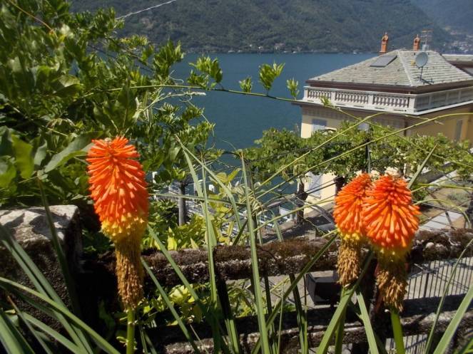 DSCN0446 (FILEminimizer)