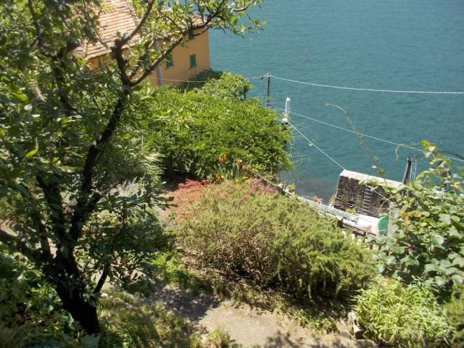 DSCN0464 (FILEminimizer)