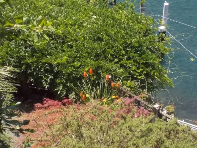 DSCN0465 (FILEminimizer)