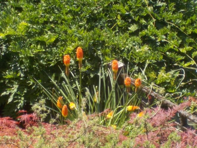 DSCN0466 (FILEminimizer)