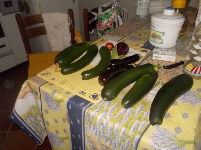 DSCN0469 (FILEminimizer)