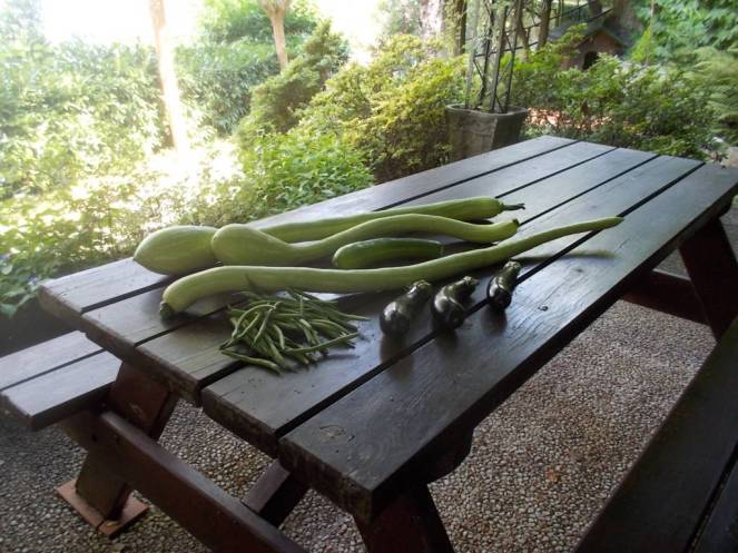 DSCN0470 (FILEminimizer)