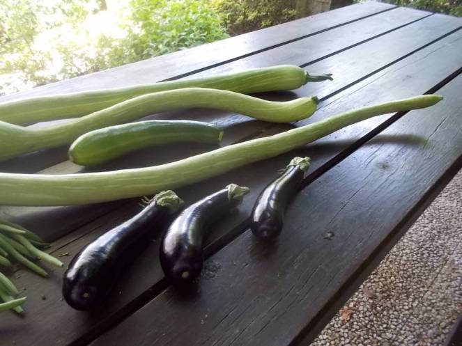 DSCN0472 (FILEminimizer)