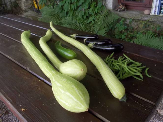 DSCN0474 (FILEminimizer)