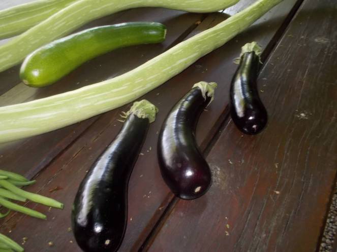 DSCN0476 (FILEminimizer)