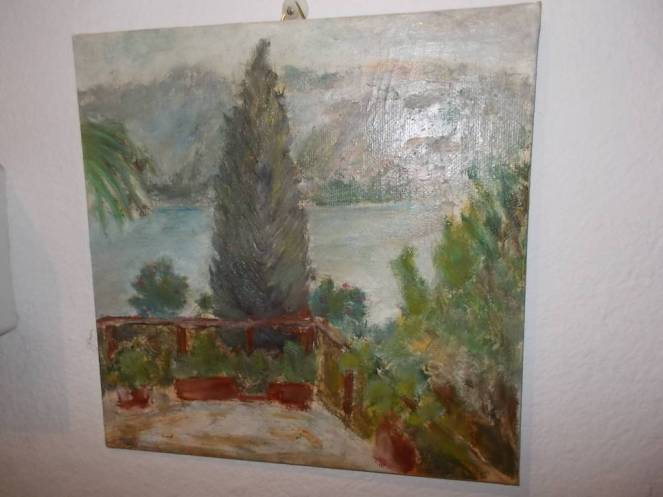 DSCN0500 (FILEminimizer)