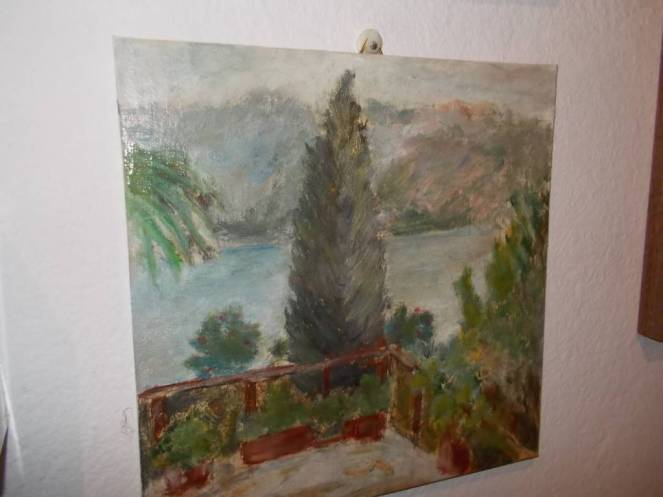 DSCN0501 (FILEminimizer)