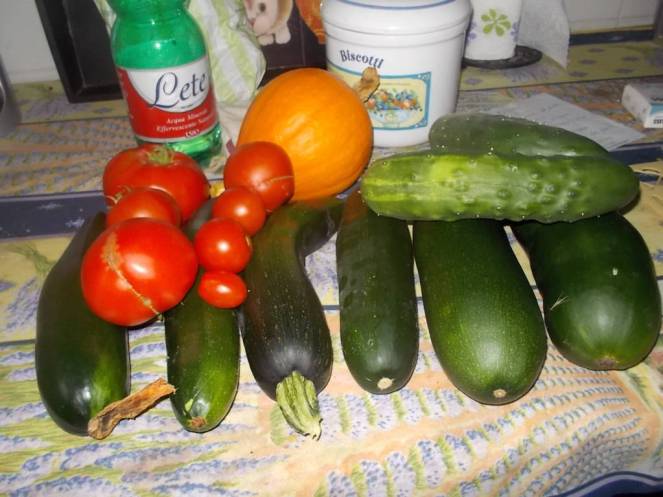 DSCN0506 (FILEminimizer)