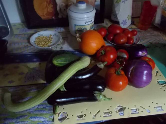 DSCN0523 (FILEminimizer)