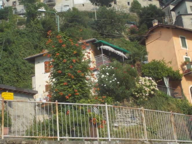 DSCN0537 (FILEminimizer)