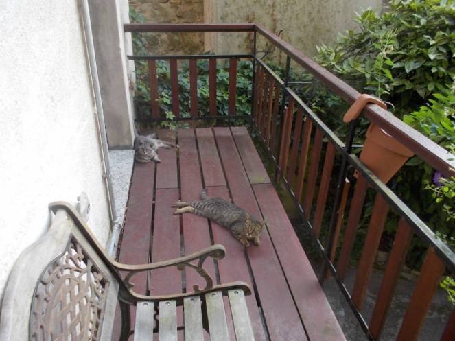 DSCN0553 (FILEminimizer)