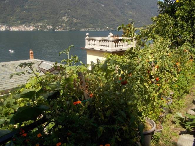 DSCN0555 (FILEminimizer)