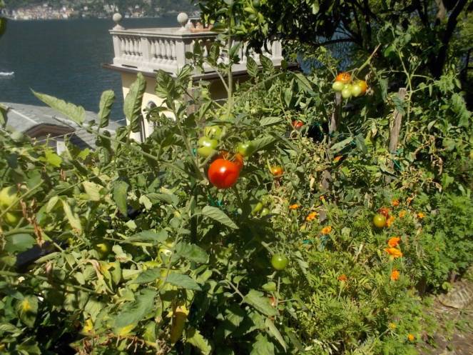 DSCN0562 (FILEminimizer)