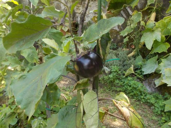 DSCN0565 (FILEminimizer)