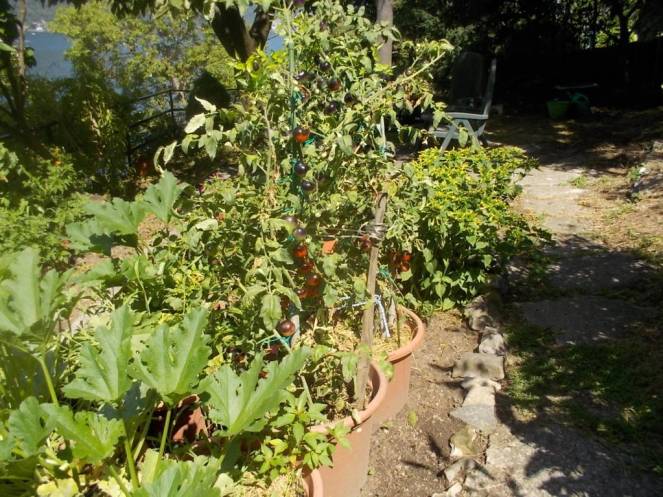 DSCN0574 (FILEminimizer)