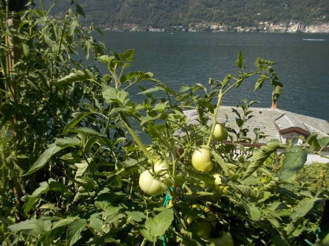 DSCN0596 (FILEminimizer)