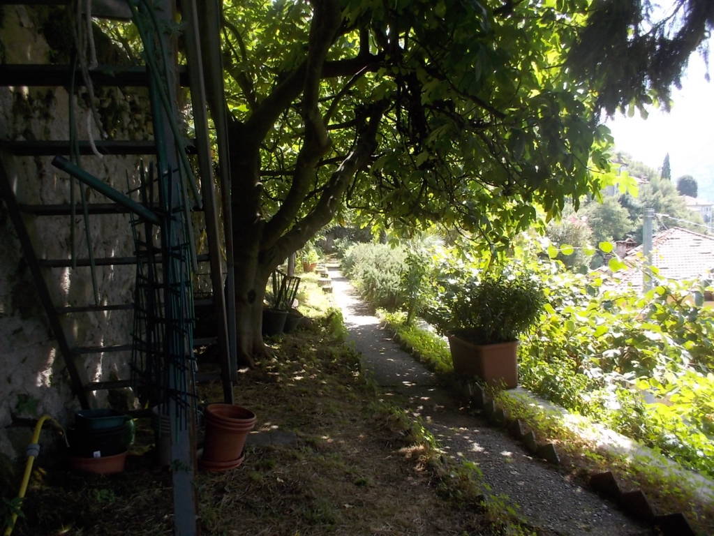 DSCN0604 (FILEminimizer)