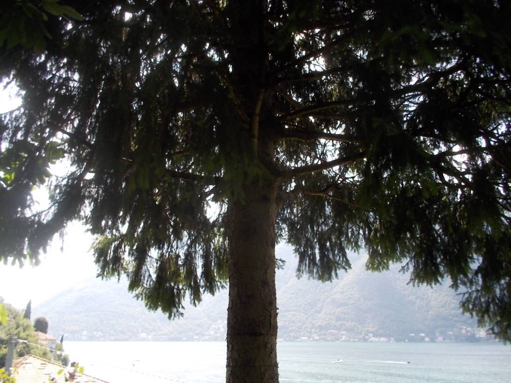 DSCN0606 (FILEminimizer)