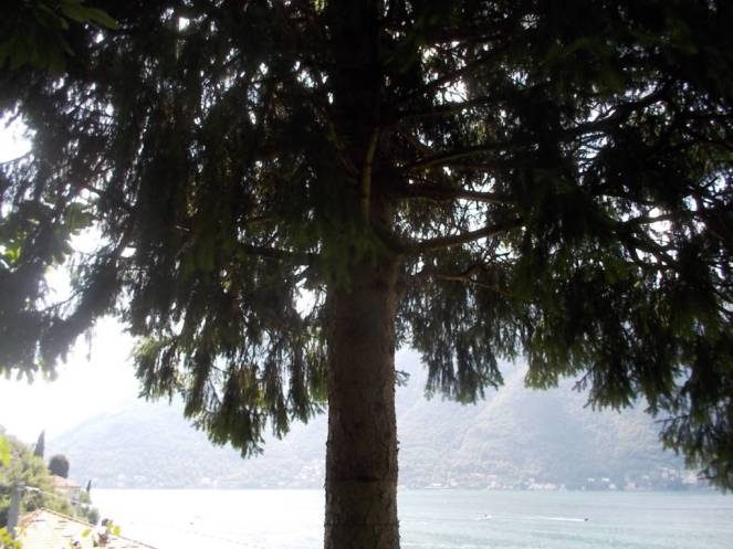 DSCN0606 (FILEminimizer)