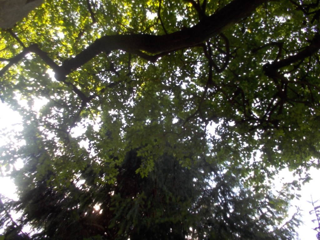 DSCN0609 (FILEminimizer)