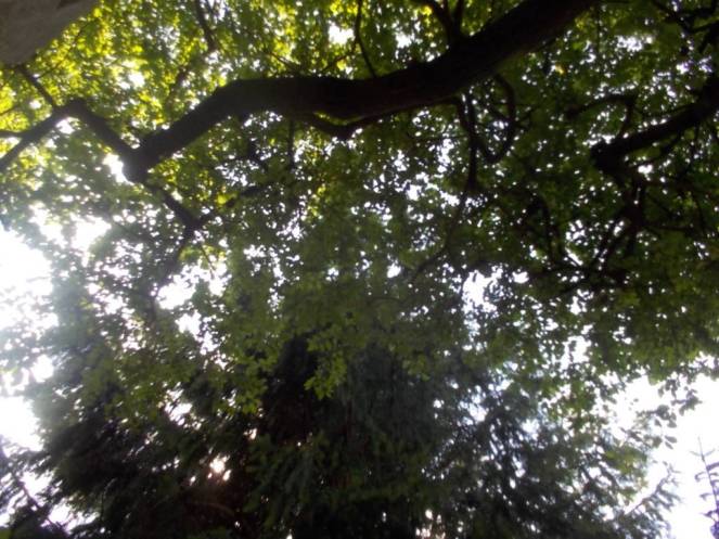 DSCN0609 (FILEminimizer)