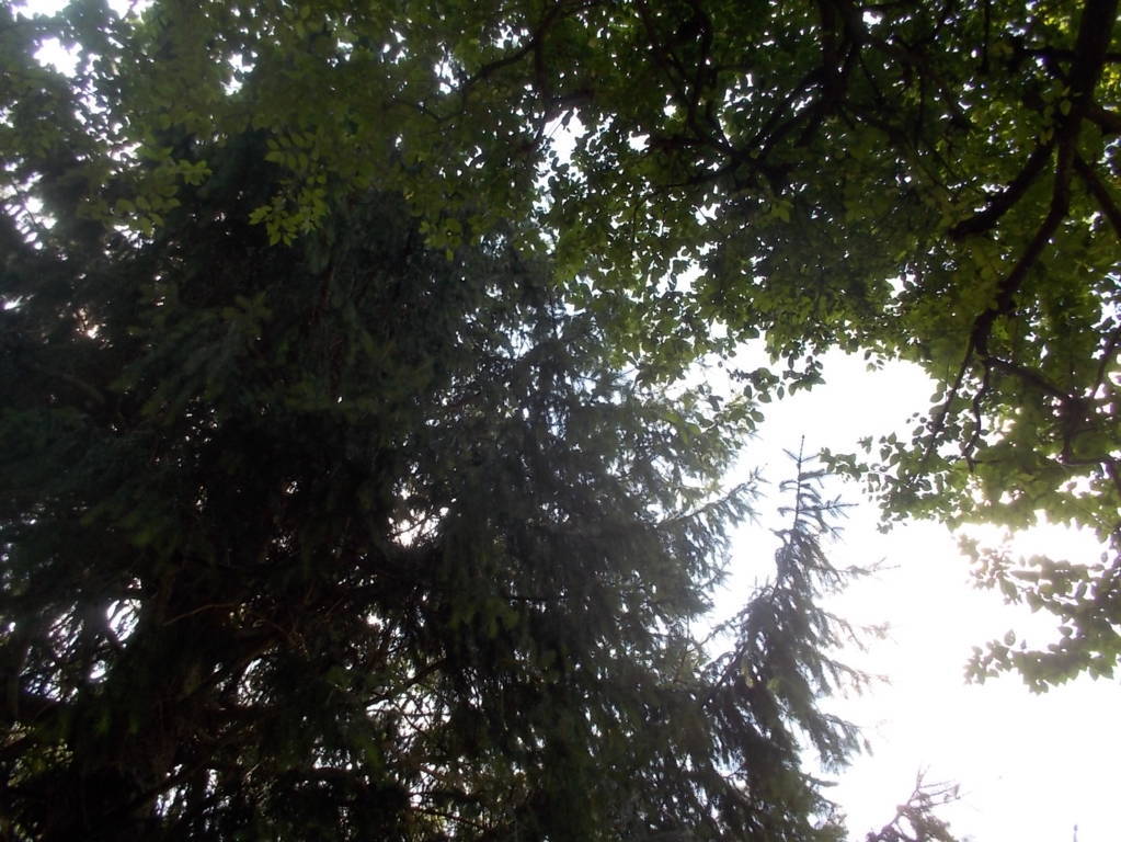 DSCN0610 (FILEminimizer)