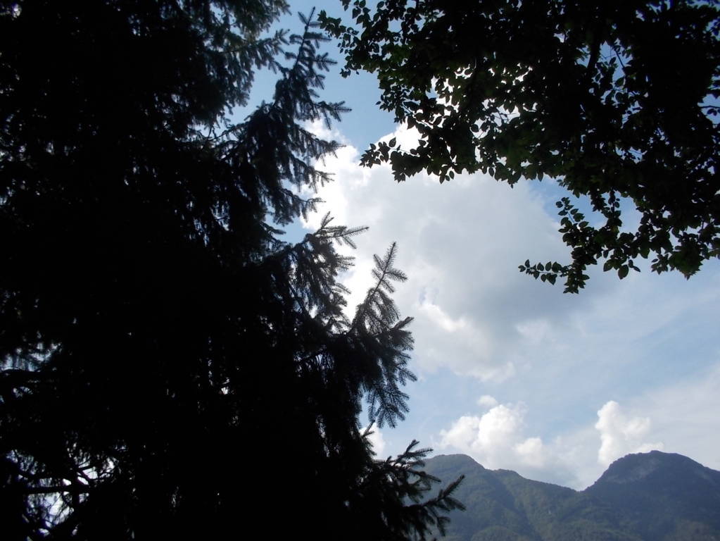 DSCN0611 (FILEminimizer)