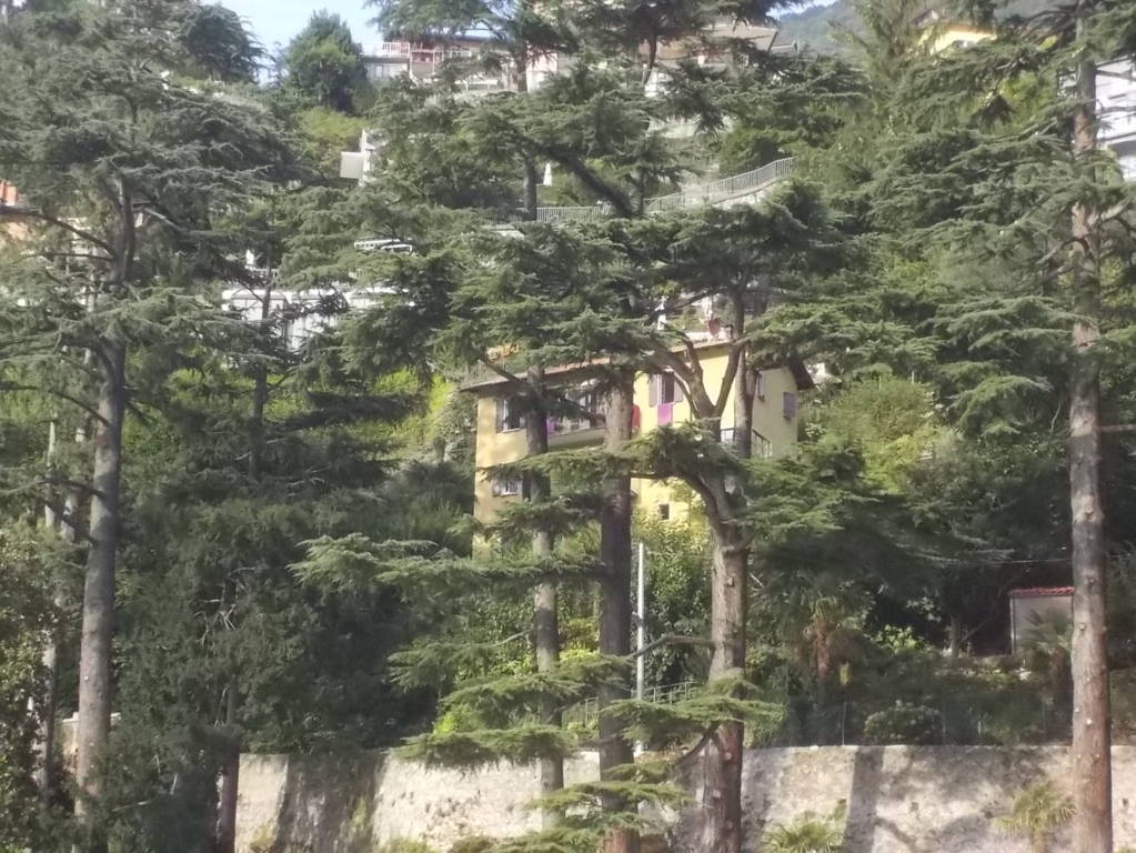 DSCN0668 (FILEminimizer)