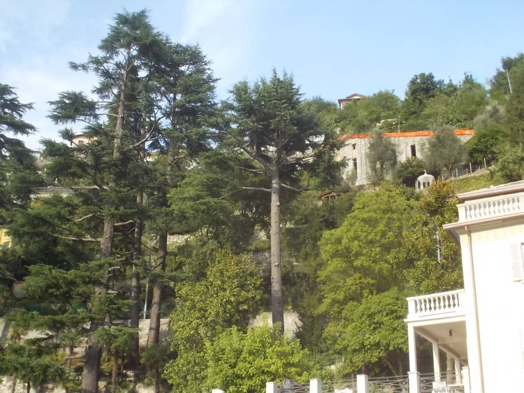 DSCN0670 (FILEminimizer)