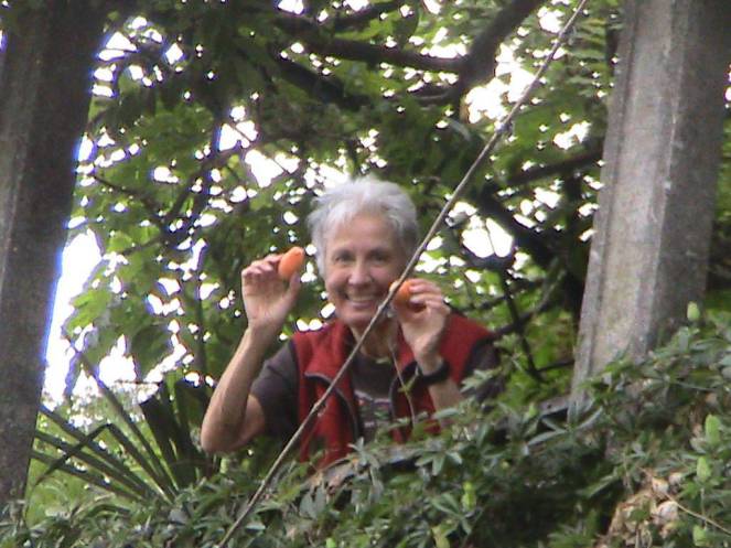 IMG_8632 (FILEminimizer)