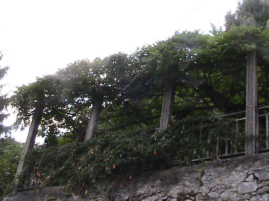 IMG_8633 (FILEminimizer)