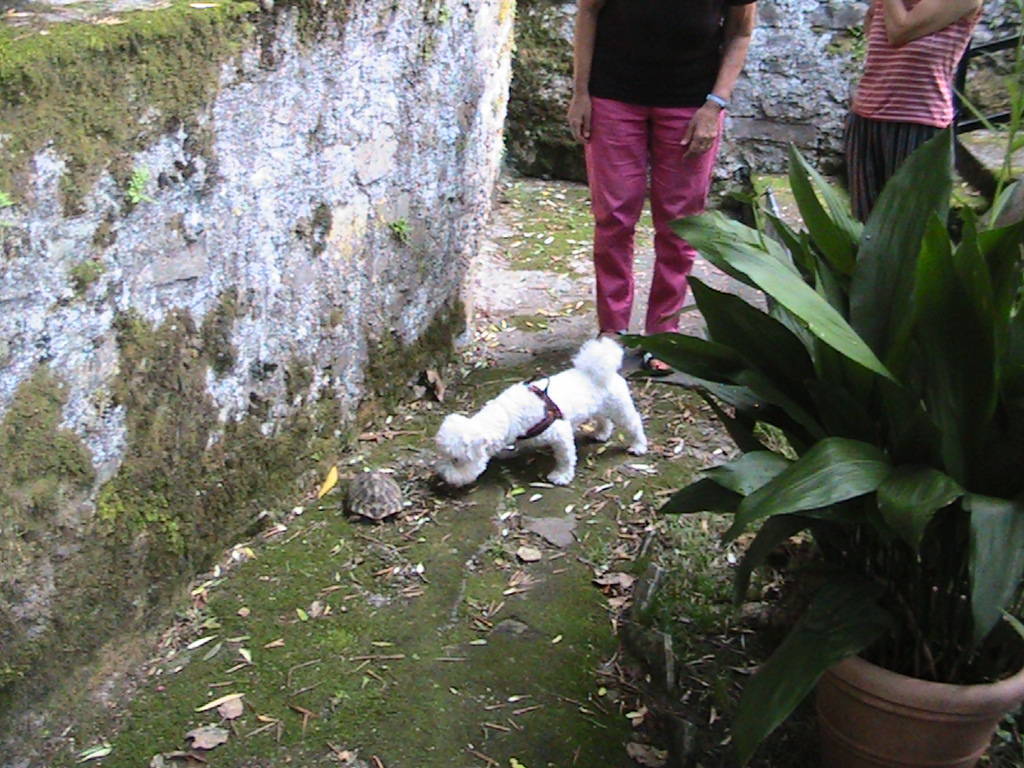 IMG_8643 (FILEminimizer)